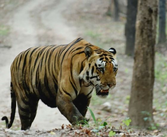 Madhya Pradesh